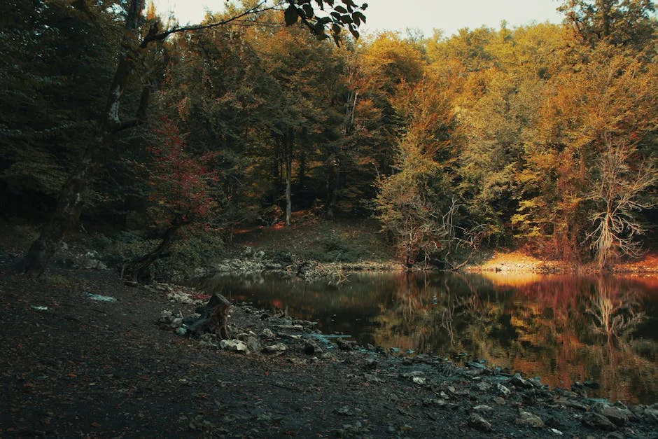 IEA Considers Oil Reserve Release as Tensions with Iran Escalate - What It Means for Energy Prices — Politics Governance