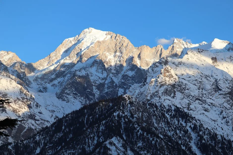 IMD Warns: Himachal Temperatures Hit 40°C, Dry Spell Begins May 18 — Entertainment