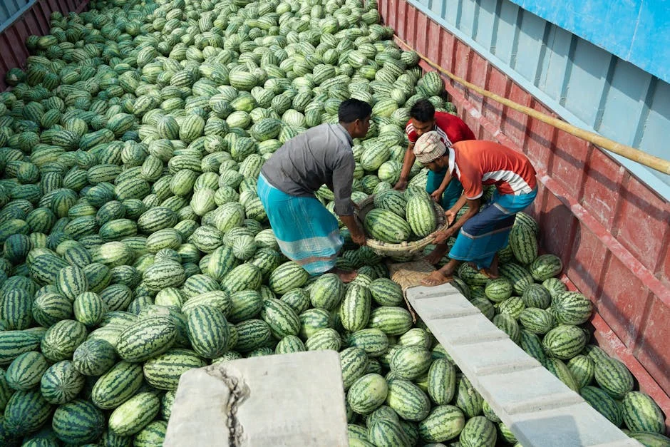 India Exporters Face Crisis as US Tariffs and West Asia Woes Converge — Entertainment