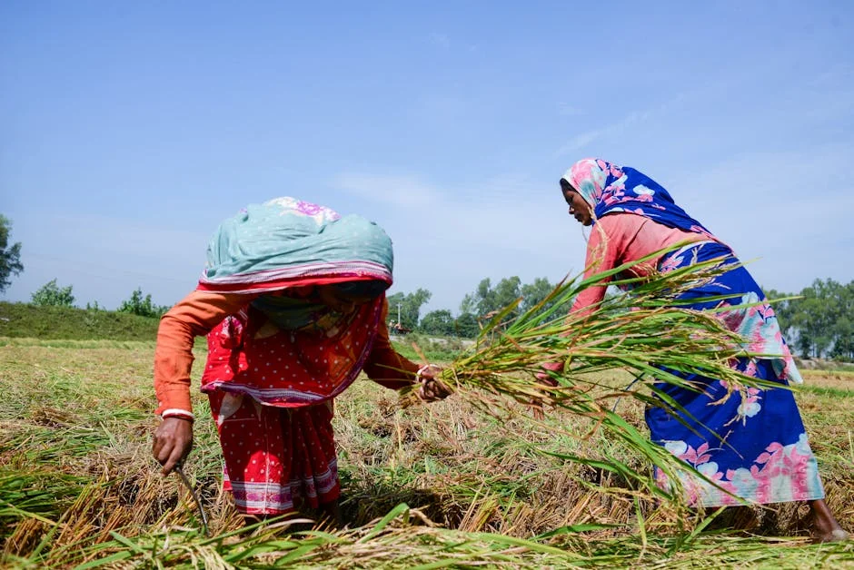 India Launches AI Regulation Framework — and Workers Fear Job Losses