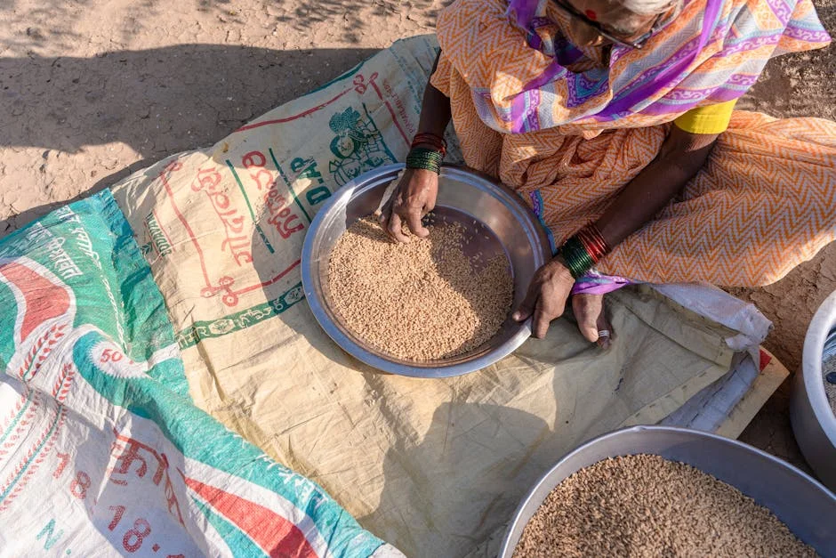 India Turns to Nigeria for Soybeans Amid Domestic Supply Challenges