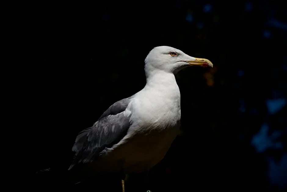 Instagram Removes Dozens of AI Sexist Videos After BBC Investigation