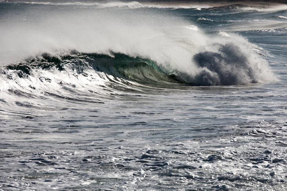Japan Earthquake Triggers Tsunami Alert Off Northeast Coast