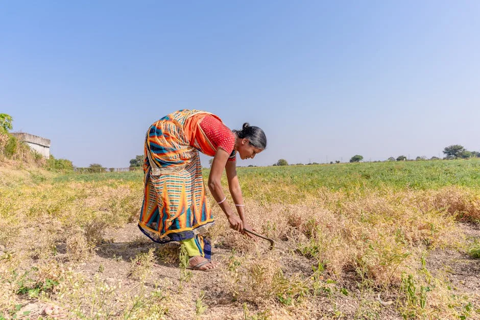 Karnataka Farmers Weep as Onion Prices Plummet 40%