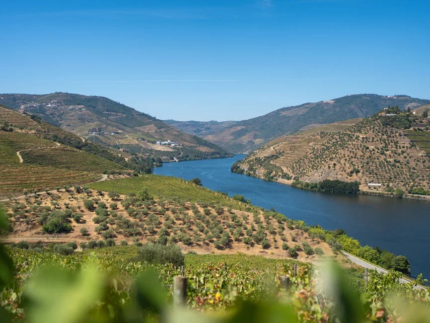 Kimbrel Wines Invests €10 Million in Douro - What It Means for Local Communities
