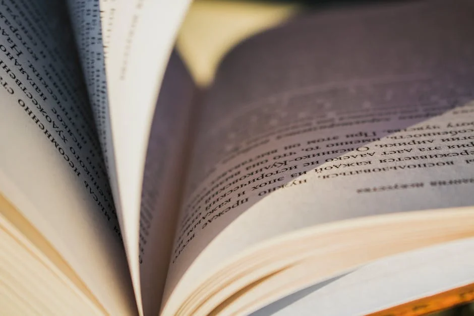 LAFC vs Orlando City Live Stream Sparks Local Frenzy in Southern California