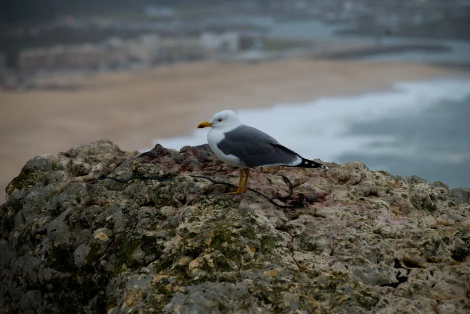 Leiria's Wealth Plummets by 30% in Two Hours: What This Means for Local Families — Business Economy