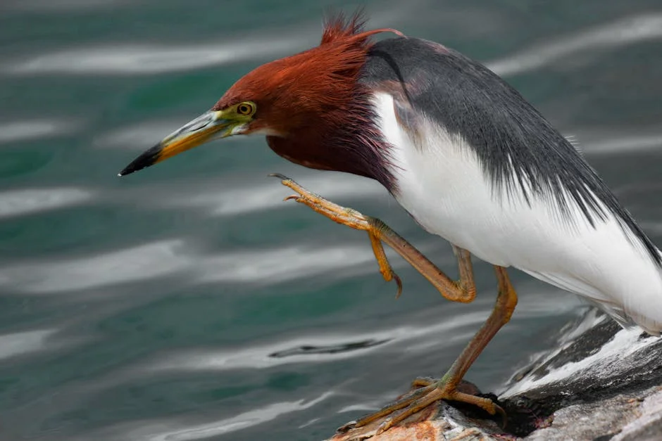 Lisbon Authorities Arrest Three for Drug Trafficking: Community on High Alert — Business Economy