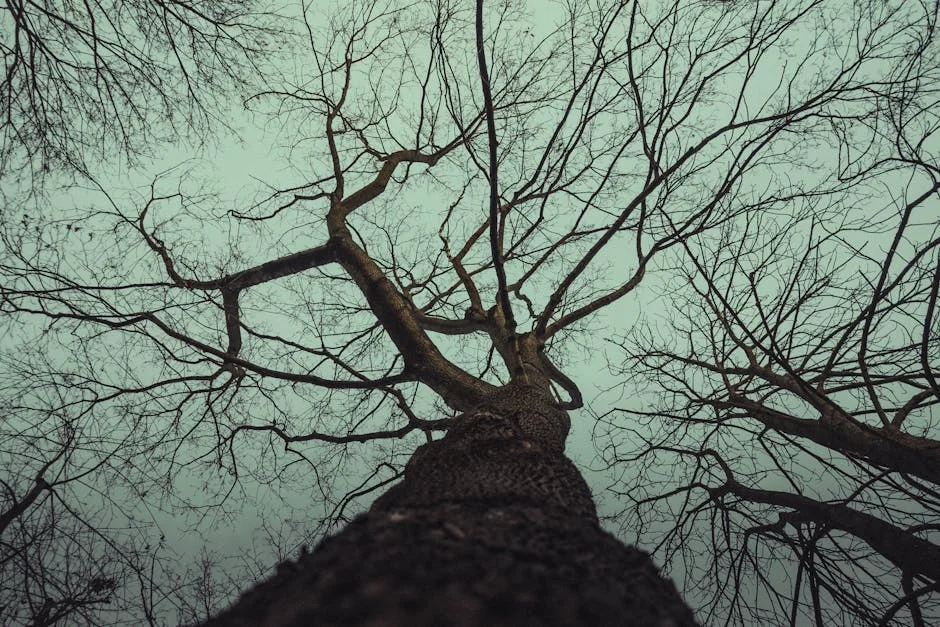 Local Man Kills Boy in Gruesome Attack: Villagers Reveal Shocking Details