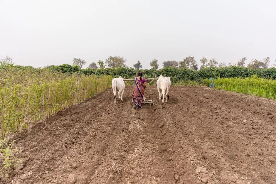 Maharashtra Tables Women Farmers' Empowerment Bill — Here's What It Proposes
