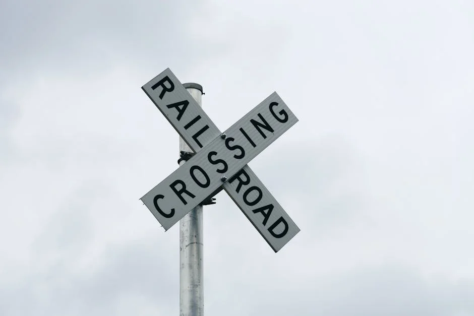 March Analysis Reveals E-Hailing Rules to Boost Sector Professionalism