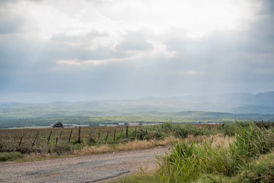 Mário Ramos secures 50.1% stake in Seguramos — what it means for local economy — Culture Religion