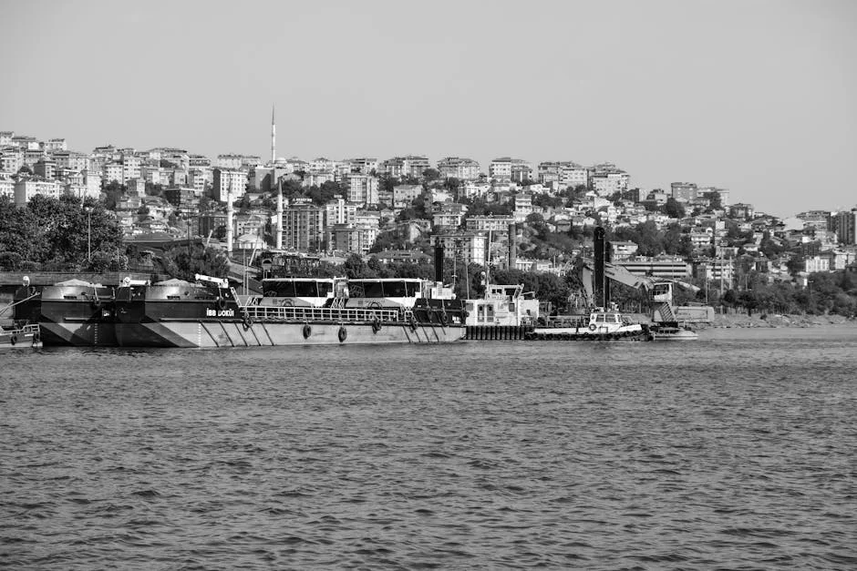 Martim Guedes joins Chama: What this means for Vitória fans and local economy — Business Economy