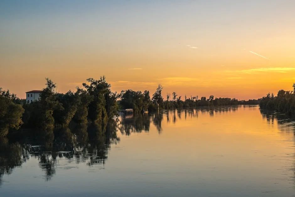 Masi Maham festivities illuminate temples: How it unites local communities — Education