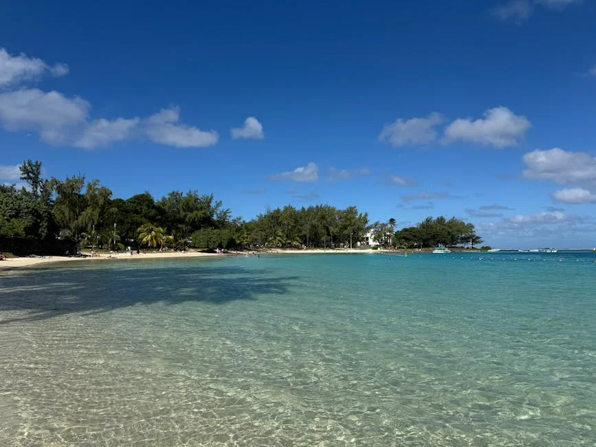 Mauritius Reveals Gateway Potential for African Expansion - What It Means for Indian Investors