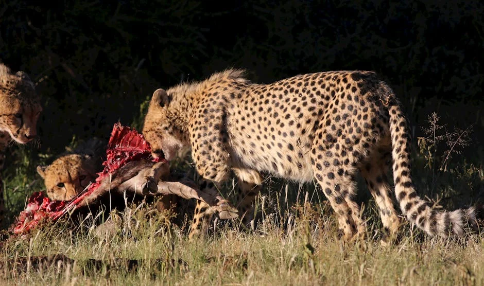 Mduduzi Ncube departs Big Zulu’s label for solo venture — what it means for fans — Business Economy