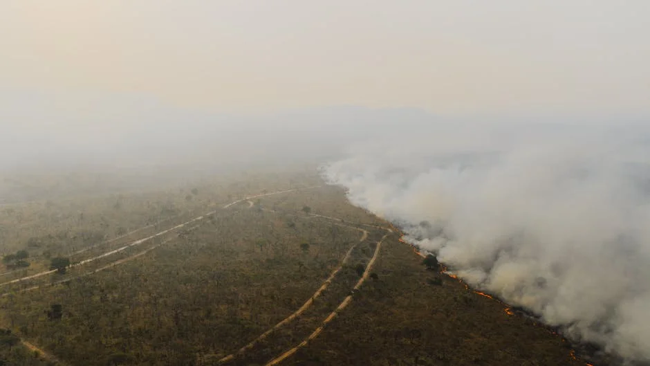 Meet Metropolitan Unveils Top 20 Collective Shapers 2026: Impact on South Africa's Future — Business Economy