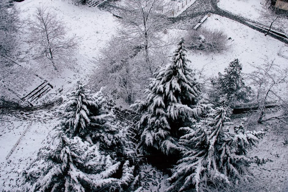Mexico Braces for Cold Storm 44 With Frost and High Winds