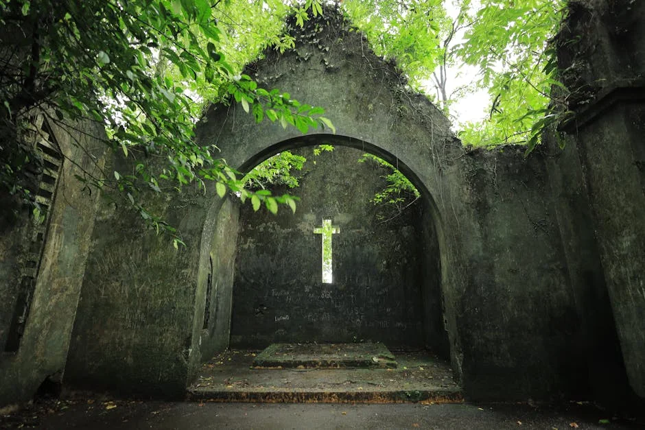 Mumbai Government Demolishes Dargah — Aarey Colony's Community Outcry Grows