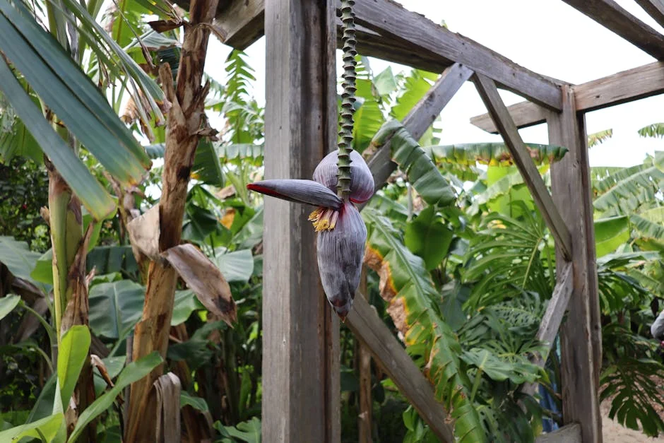 Musa Mseleku showcases his Umzumbe estate: what it means for local tourism — Business Economy