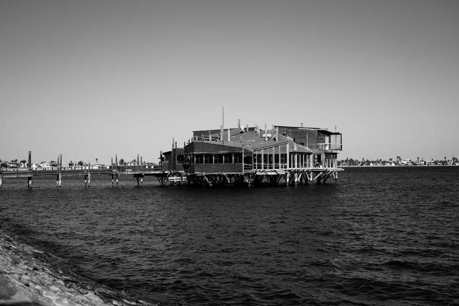 Namibia's Green Energy Dream Could Spell Trouble for Penguin Homes - Explained