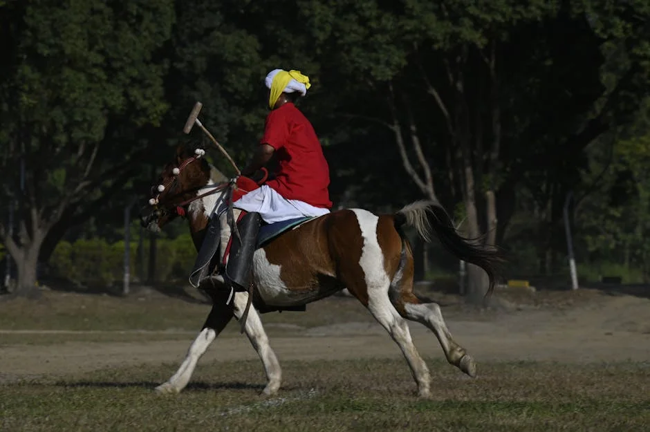 National Consumer Commission recalls 25,000 Polo Vivos: what this means for owners — Business Economy