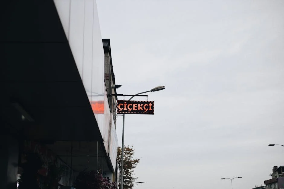 Neal Mohan Reveals YouTube's Dominance — and India's Content Creators Are Concerned