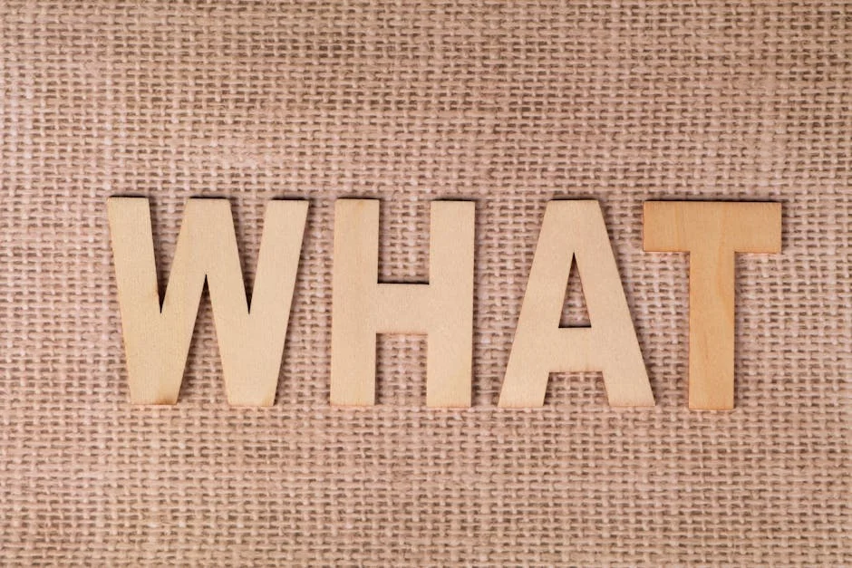 New High-Fiber Vegan Protein Bars Hit Indian Markets, Boosting Health Trends