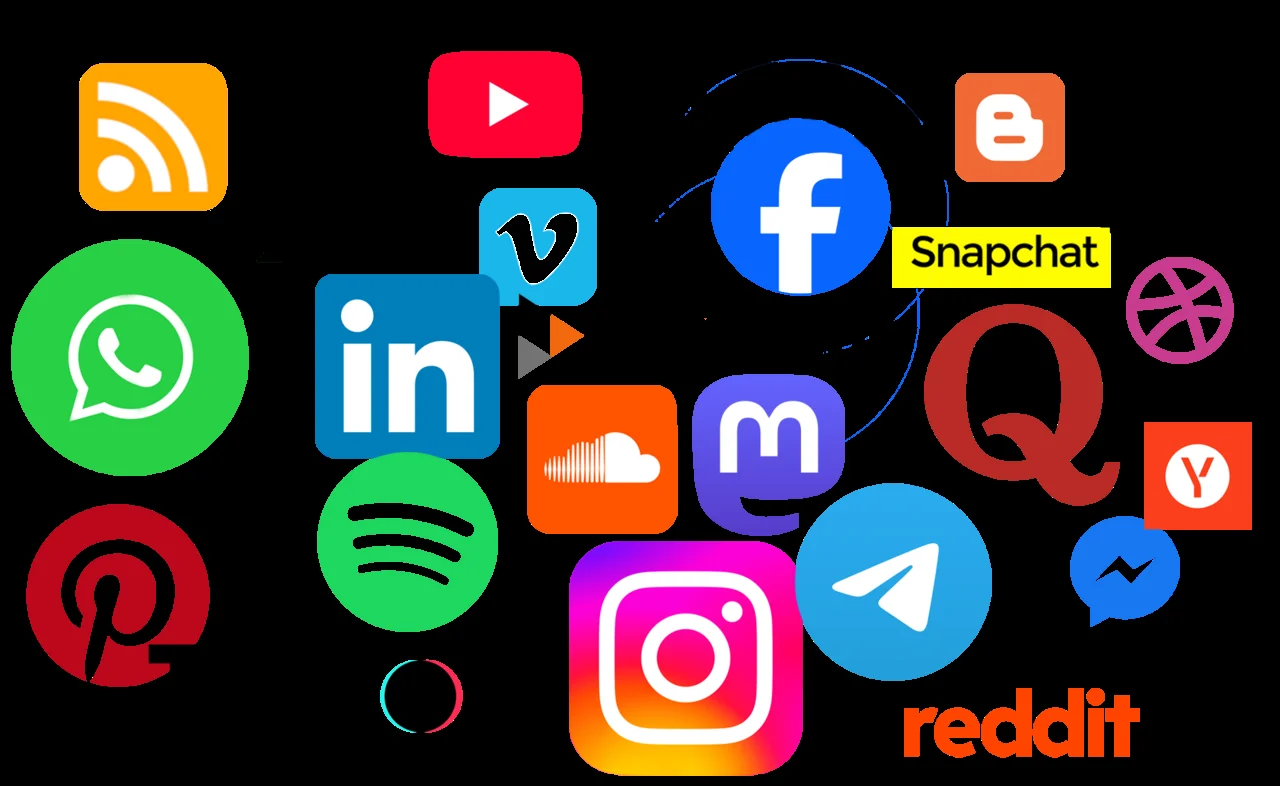 Numa Demands Media Reform: How Instagram's Content Removal Affects Indian Communities — Business Economy