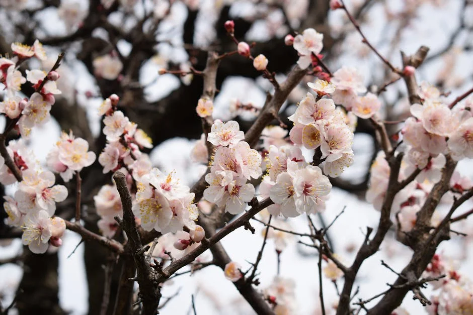 Nuno Baltazar Unveils Stunning Wedding Collections at Carvalho Um Festivity