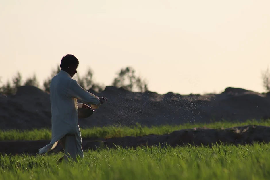 Oman Boosts Petrochemical and Fertiliser Supply as Free Trade Agreement Takes Effect
