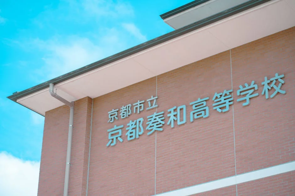 Osasuna's Muñoz Scores Historic Goal as Serbia's Football Ambitions Grow