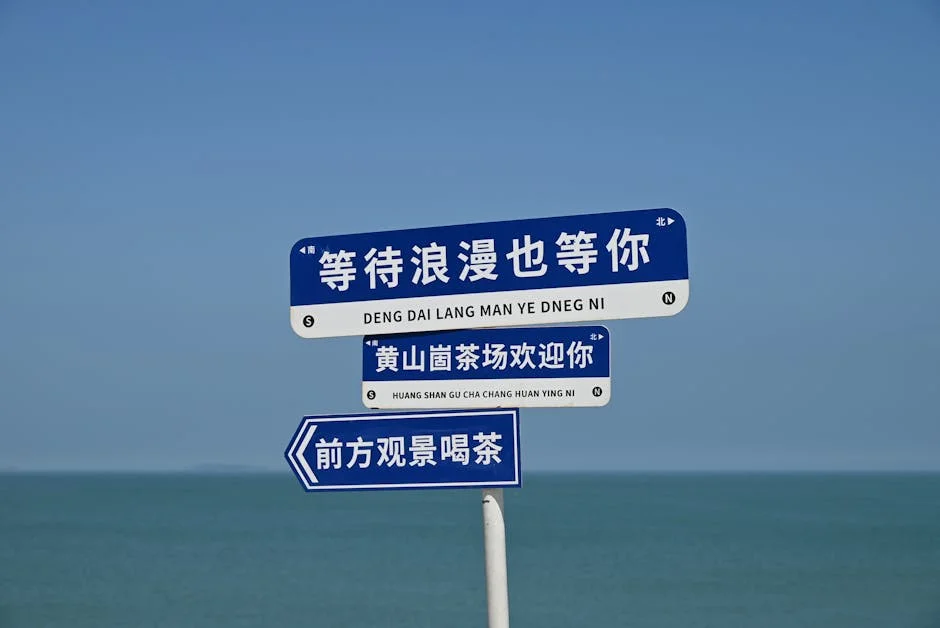 Pentagon Sends Divers to Find 250 Americans Lost on 'Hell Ship' in Philippine Sea