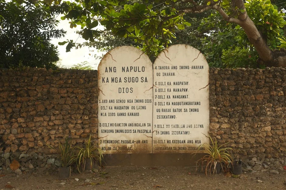 Police Commissioner Fannie Masemola Summoned to Court — Tshwane Residents Worry About Justice — Business Economy