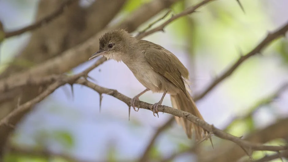 Polokwane Rehab Patient Vanishes: Community Urges Police to Act Swiftly — Business Economy