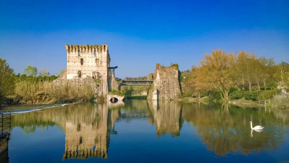 Ponte de Lima honours António Feijó: What this means for local heritage — Business Economy