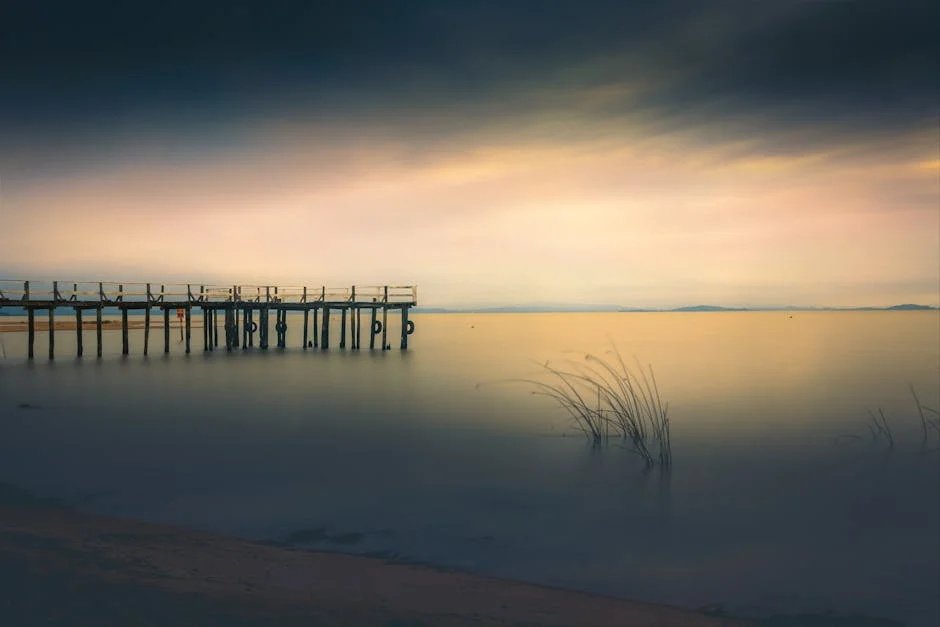 Portugal Unveils €89.5 Million Contest for IC35: What It Means for Hintze Ribeiro — Development