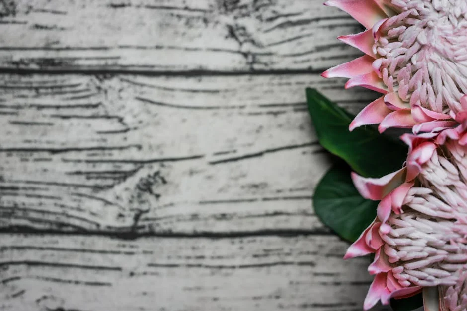 Proteas Slammed Over Match-Fixing Claims: What It Means for Cricket Fans — Culture Religion