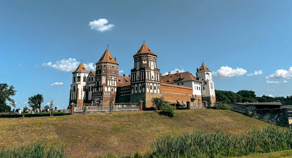 Rafa Mir Praises Vinicius as One of World's Best - What Does It Mean for Elche Fans?