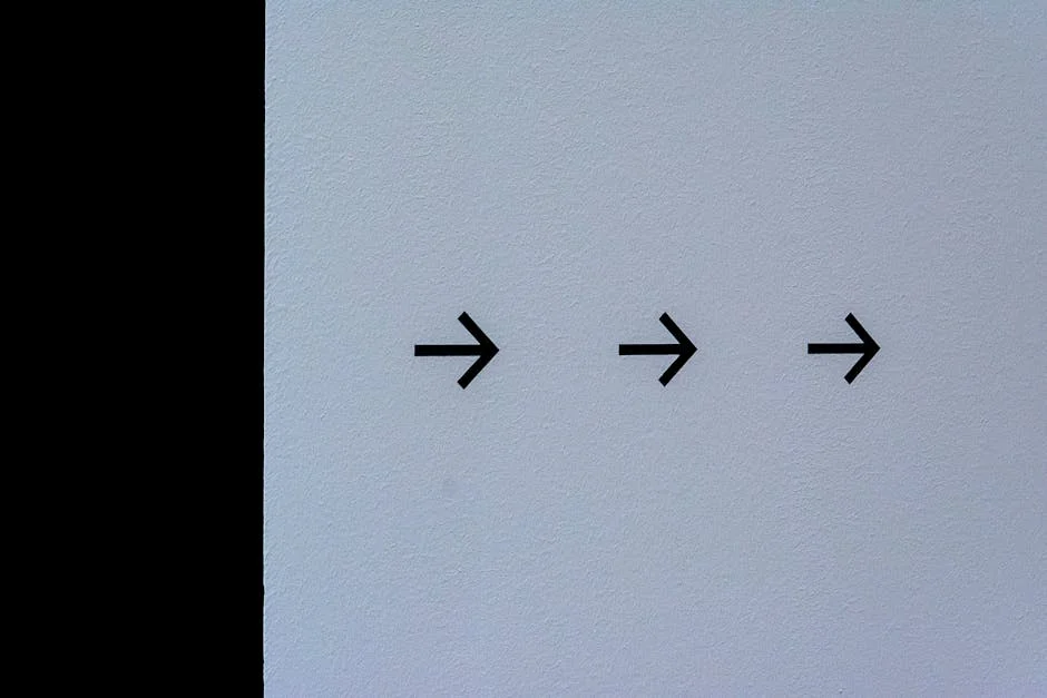 Real Madrid Dominates Euroliga as Fans in India Cheer On