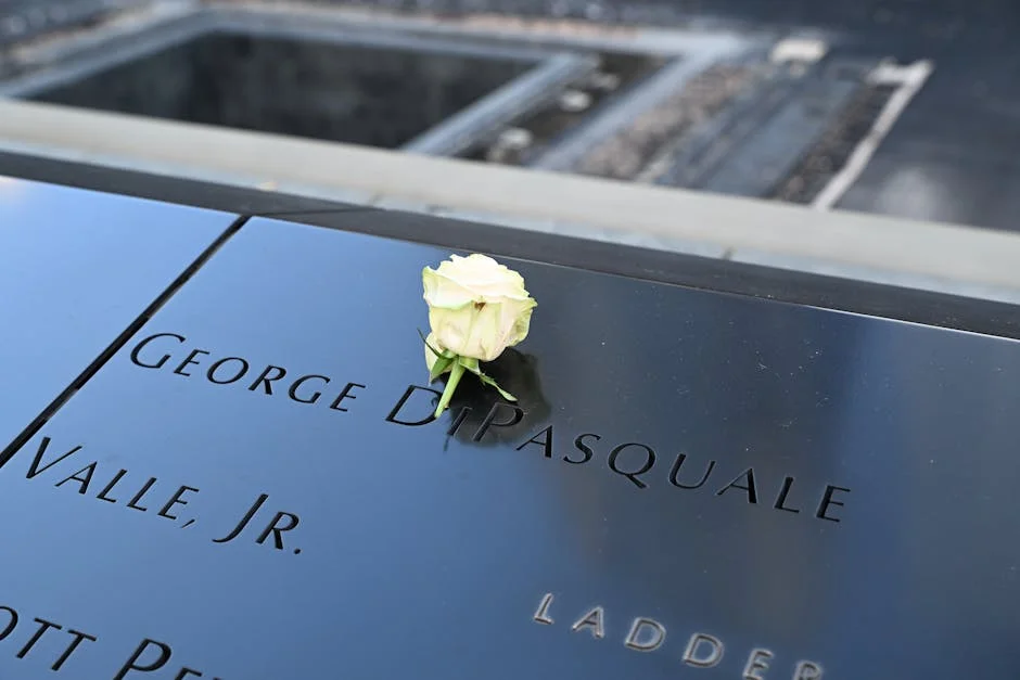 Rev Jesse Jackson Honoured in Tribute — Recognising His Solidarity With South Africa — Business Economy