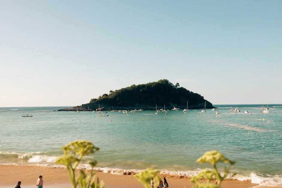 Santa Clara Coach Promises Strong Response Ahead of Upcoming Matches: What It Means for Fans — Business Economy