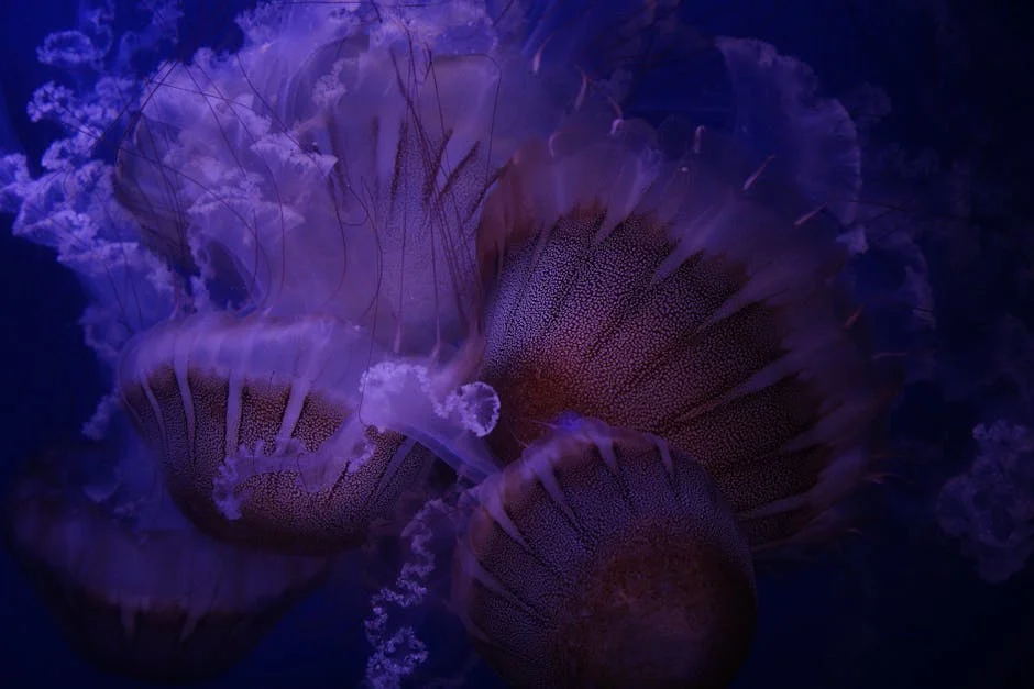 Sasikala Unveils New Political Party, All India Puratchi Thalaivar Makkal Munetra Kazhagam