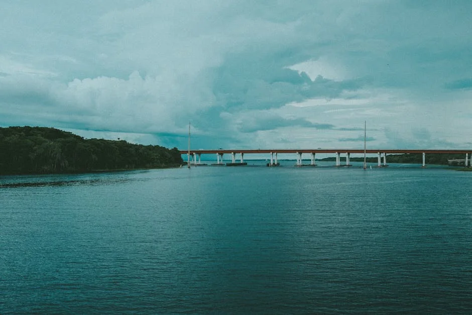Seixal and Barreiro Link Up: June River Ferry Launches