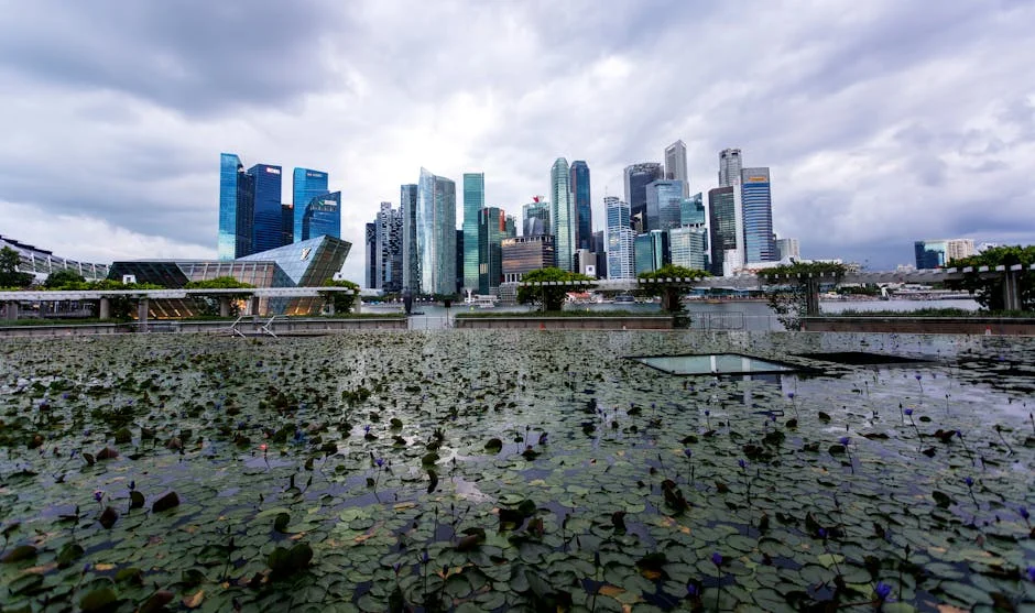 Singapore's Civil Service Chief Demands Innovation in Governance