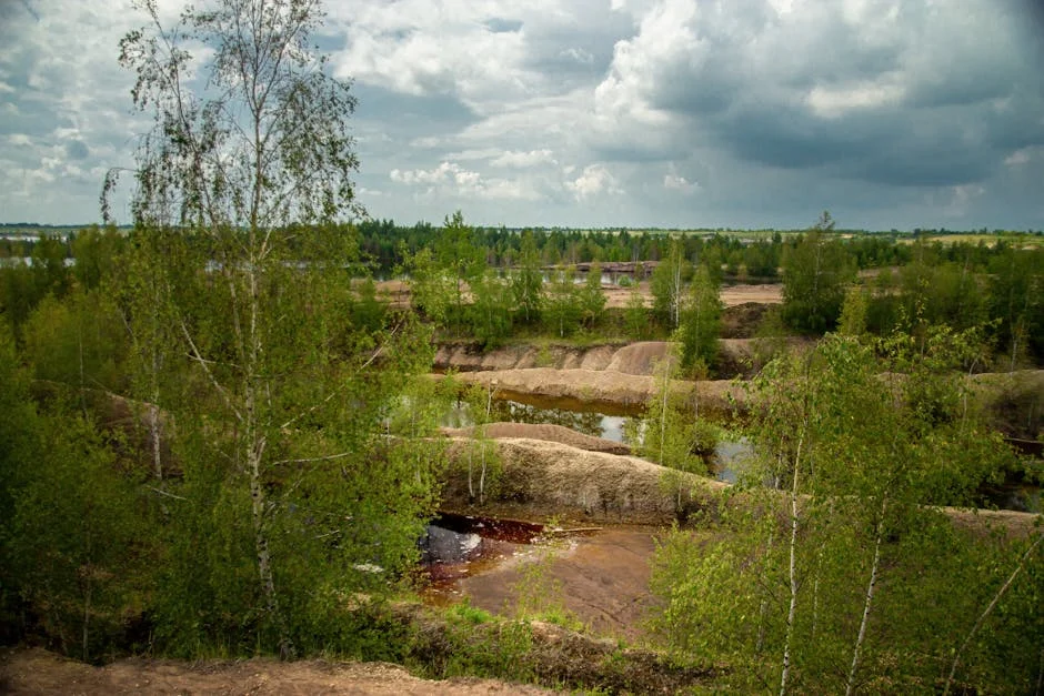 SNS Director Reveals Plan to Cut Cardiac Surgery Wait Times: What It Means for Patients — Business Economy