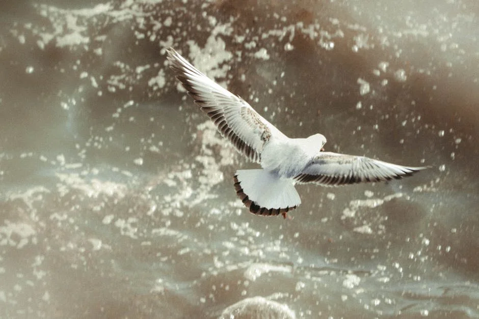 Soares Sparks Controversy: Pedro Vasconcelos Demands Clarity on Impacts for Communities