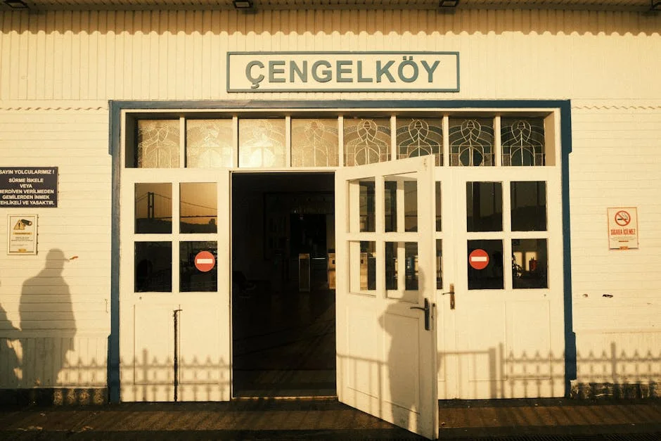 Sophia de Mello Breyner Advocates for Disability Rights at Constituinte