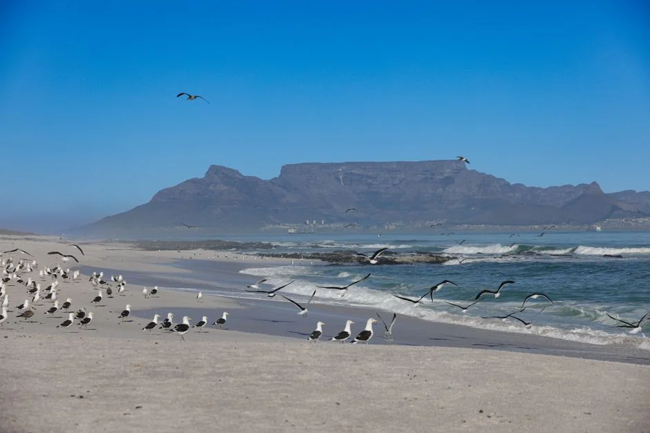 South Africa Approves 20% Judicial Pay Rise and New Court Seats — Health Medicine