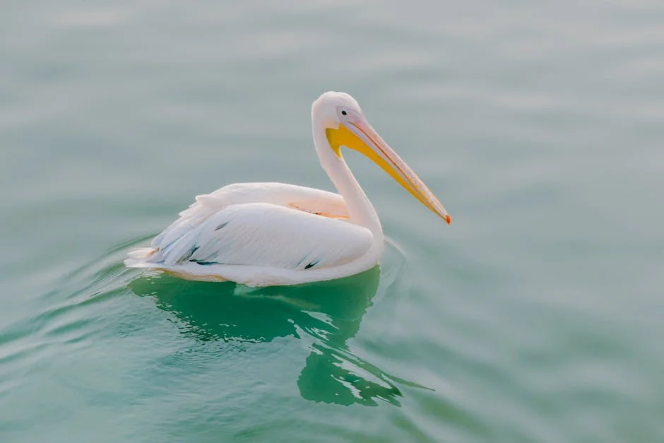 South Africa Launches Water Sector Anti-Corruption Forum: Aiming to Secure Resources for Communities — Politics Governance